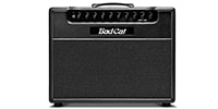 BAD CAT / Hot Cat 1x12 Combo