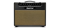 BAD CAT / Black Cat 1x12 Combo