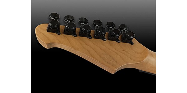 Balaguer Guitars / Espada 2023 Limited Select Rustic Black画像2