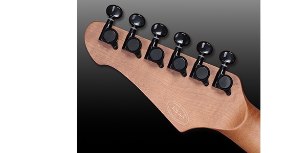 Balaguer Guitars / Thicket Black Friday Select, Rustic Black画像6