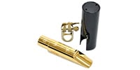 Bari Woodwinds / BGAS4 Alto Saxophone Bari Gold 4