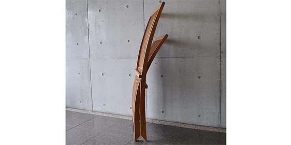 BASIX / Teak folding sundeck chair GCT023画像4