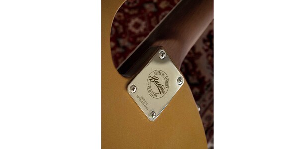 Baum Guitars / Backwing, Inca Gold画像5