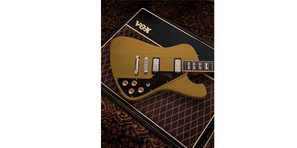 Baum Guitars / Backwing, Inca Gold画像6