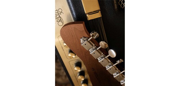 Baum Guitars / Backwing, Inca Gold画像7