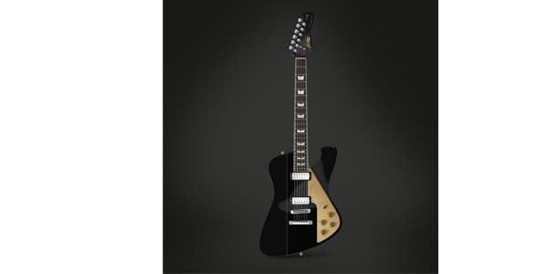 Baum Guitars / Backwing Limited Drop, Pure Black画像3