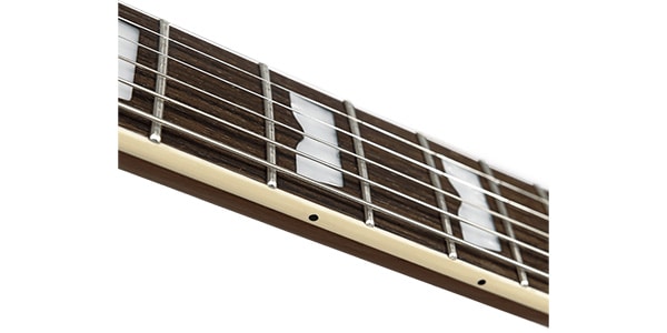 Baum Guitars / Backwing Pure Black Gold画像3