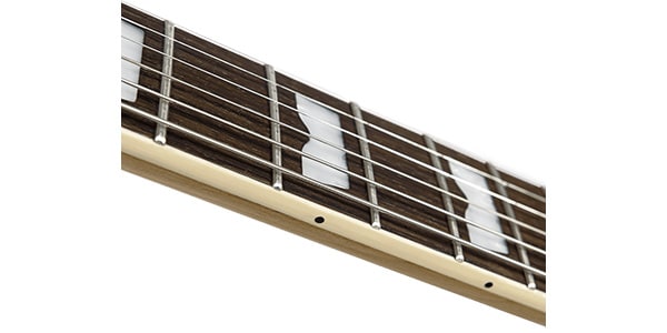 Baum Guitars / Leaper Tone with Tremolo Pure Black画像5