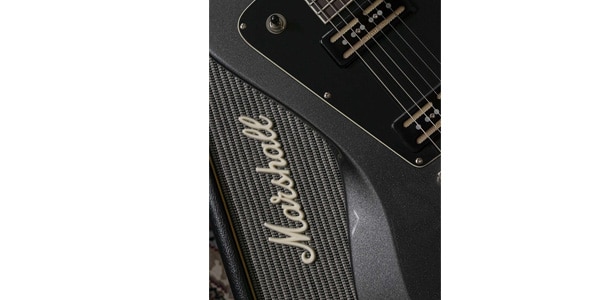 Baum Guitars / Wingman, Dark Moon画像6