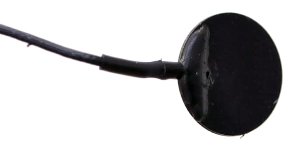 BARCUS BERRY / DISQ-IS画像2