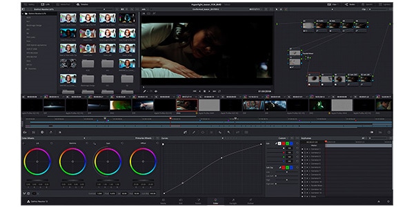 Blackmagic Design ブラックマジックデザイン Davinci Resolve Studio ライセンスキー版 送料無料 サウンドハウス