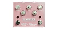 BENSON AMPS / Florist