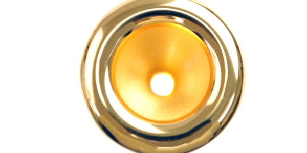 BEST BRASS / FH-5X GP画像2