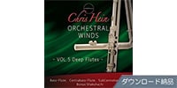BEST SERVICE / CHRIS HEIN WINDS VOL 5 - DEEP FLUTES