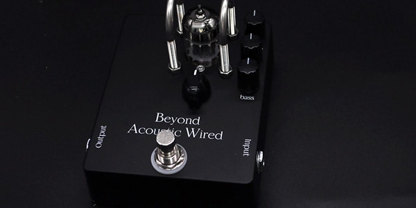 Beyond / Beyond Acoustic Wired画像11