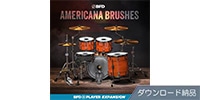 BFD / BFD PLAYER EXPANSIONS: AMERICANA BRUSHES ダウンロード納品