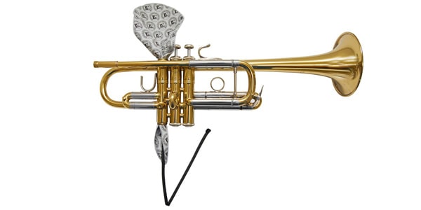 BG / A31T1 Trumpet Valve Casing Swabs画像2