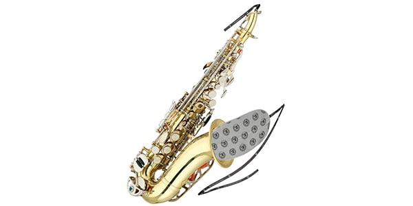 BG ( ビージー ) A33C カーヴドソプラノサックス用スワブ 送料無料