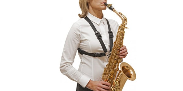 ストラップ BG サックス 用 ハーネスコンフォート 女性用 メタルスナップフック S41CMSH : bg-s41cmsh :  トニック楽器Yahoo!ストア - 通販 - Yahoo!ショッピング