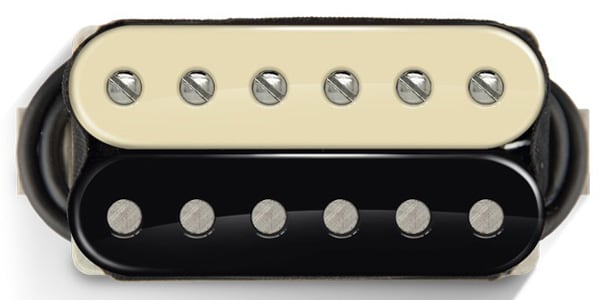 期間限定】Bare Knuckle ´60 PE 5String ベアナックル-