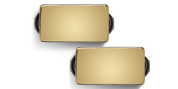 Bare Knuckle Pickups ( ベアナックルピックアップス )  / Warpig AlnicoV Set Gold Cover 50mm