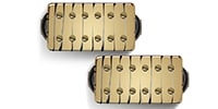 Bare Knuckle Pickups Warpig AlnicoV Set Gold Tyger 53mm