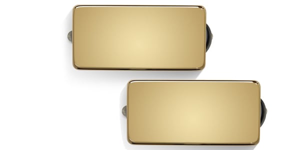 Bare Knuckle Pickups / Warpig AlnicoV 7-string Set Gold Cover