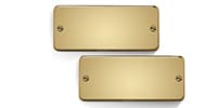 Bare Knuckle Pickups Warpig AlnicoV 7strings Set Gold Soapbar