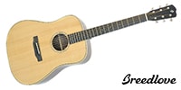 BREEDLOVE D/SReHG