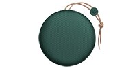 Bang&Olufsen Beoplay A1 Pine