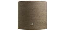  Beoplay M5C Moss Green