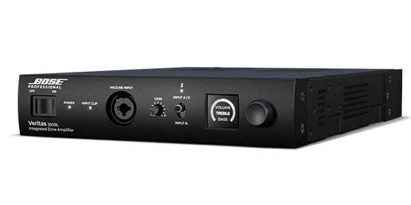 BOSE / VERITAS 250BL画像2