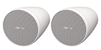 BOSE FreeSpace FS2PW