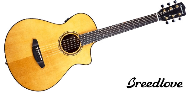 BREEDLOVE ( ブリードラブ )  / Performer Pro Concertina Aged Toner CE