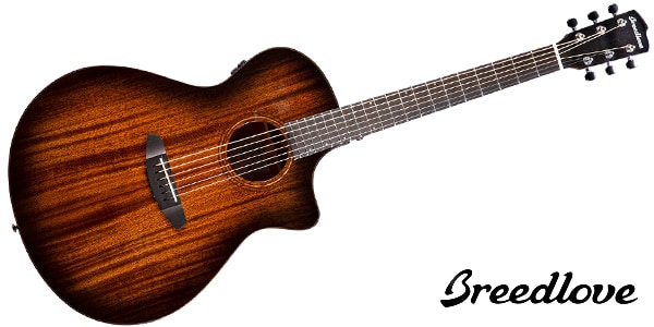 BREEDLOVE ( ブリードラブ )  / Wildwood Pro Concerto Suede CE