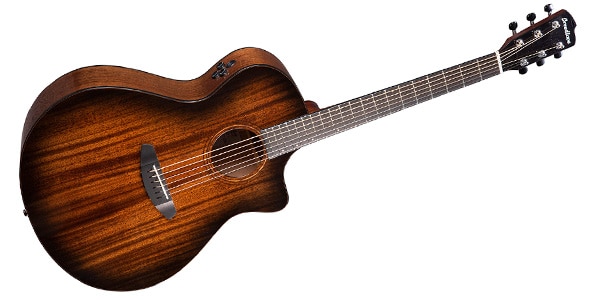 BREEDLOVE ( ブリードラブ )  / Wildwood Pro Concerto Suede CE画像3