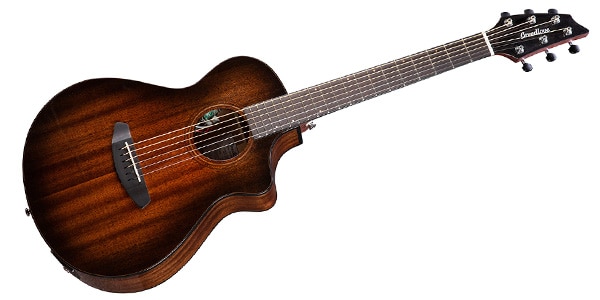 BREEDLOVE ( ブリードラブ )  / Wildwood Pro Companion Suede CE画像2