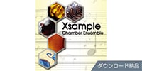 BEST SERVICE / XSAMPLE CHAMBER ENSEMBLE download delivery