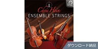 BEST SERVICE CHRIS HEIN ENSEMBLE STRINGS ダウンロード納品