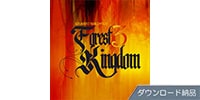 BEST SERVICE FOREST KINGDOM 3 ダウンロード納品