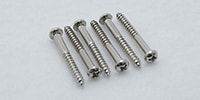 CALLAHAM / Hardened Tremolo Mounting Screws (Set of 6)