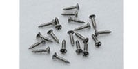 CALLAHAM Stainless Steel Phillips Head Pickguard Screws 19set