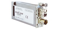 CANARE EO12G-100A-33