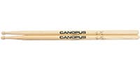 CANOPUS CP-YS3