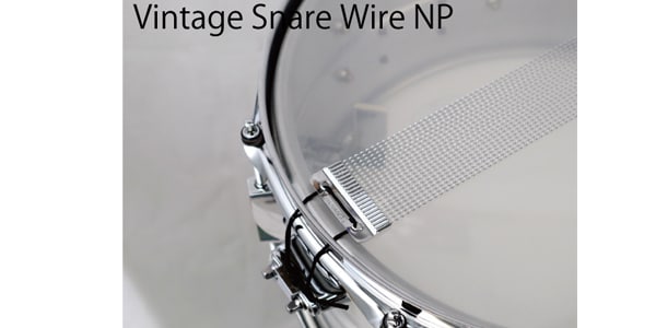 CANOPUS ( カノウプス ) SIG-1465 TK1 送料無料 | サウンドハウス