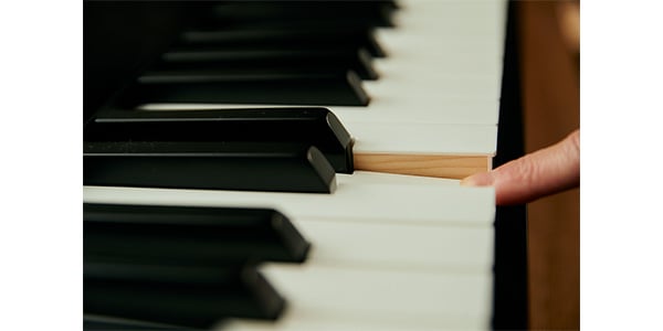 CASIO ( カシオ )  / PX-S5000BK画像7