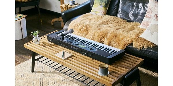 CASIO / LK-550BK画像8