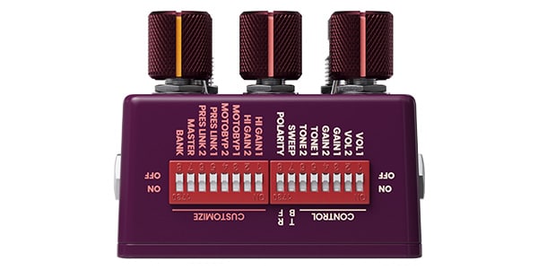 Chase Bliss Audio / Brothers AM画像2