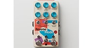 Chase Bliss Audio / Reverse Mode C(2025)