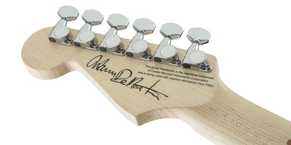 CHARVEL / Warren Demartini French Gross Black画像6